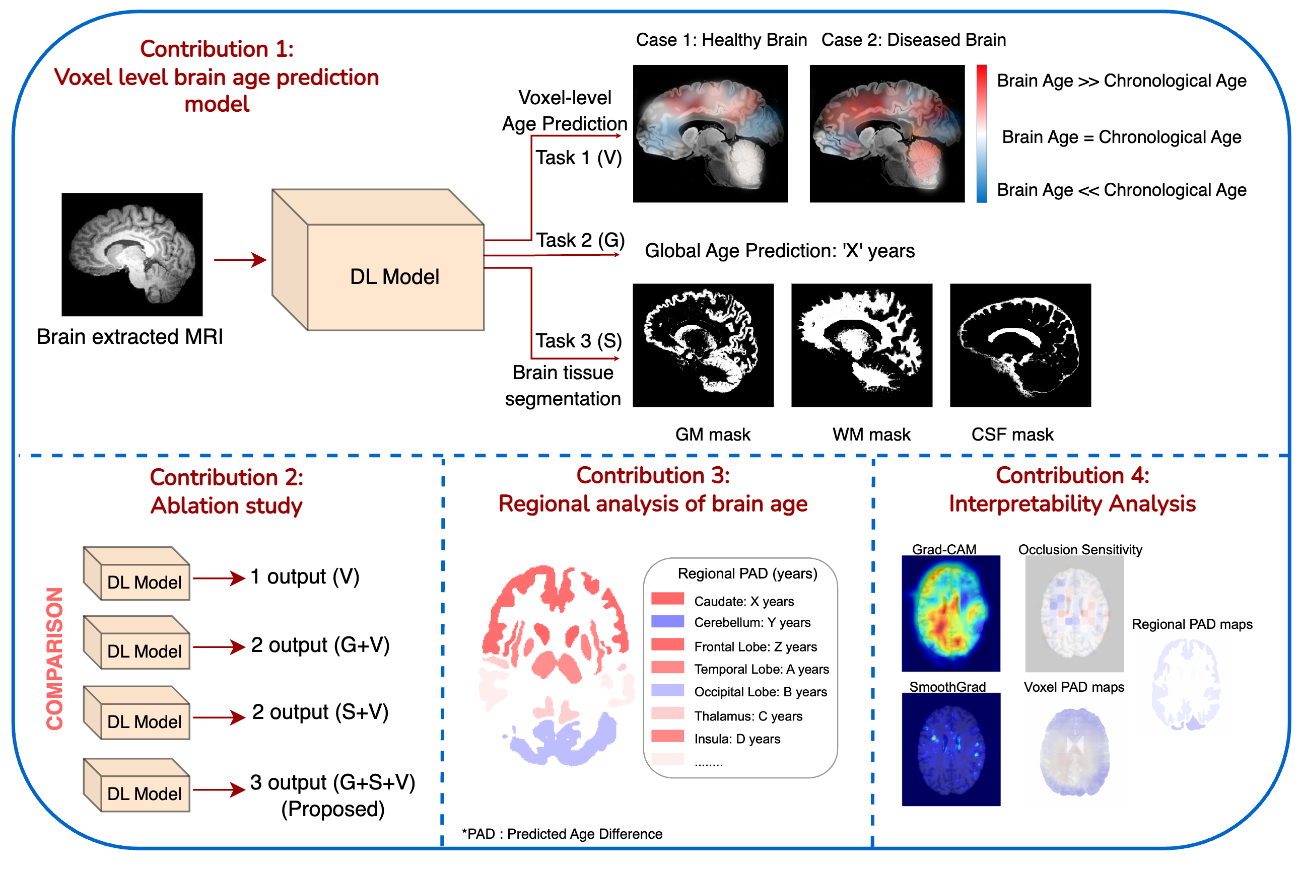 Image for A Voxel-Level Approach to Brain Age Prediction: A Method to Assess Regional Brain Aging